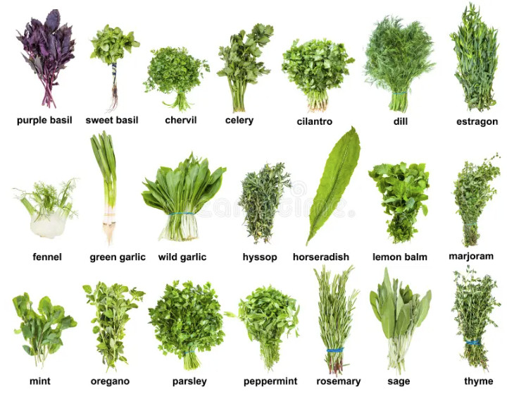 Herbs