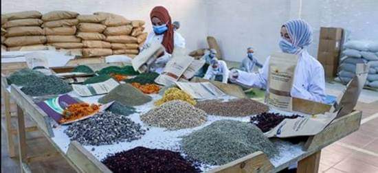 WhatsApp Image 2025-10-14 at 23.40.49_99f862a9